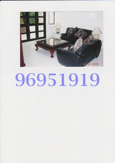 Pine Grove thumbnail photo